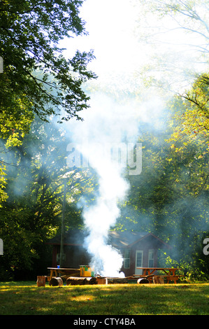 Unattended campfire in a forest camp site Stock Photo