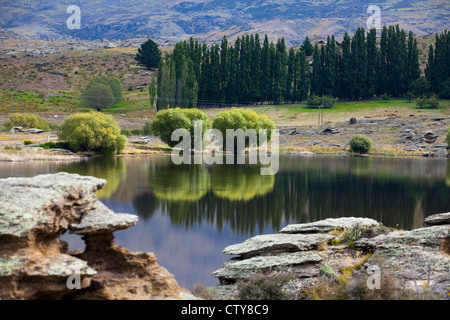 Landscape in Newzealand Stock Photo