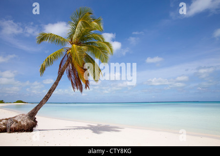 dream beach on a lonely island in the indian ocean Stock Photo