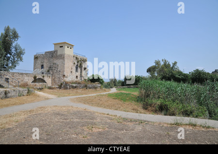 Israel, Northern District Ein Afek Nature Reserve on the Naaman River The Crusader mill station Stock Photo