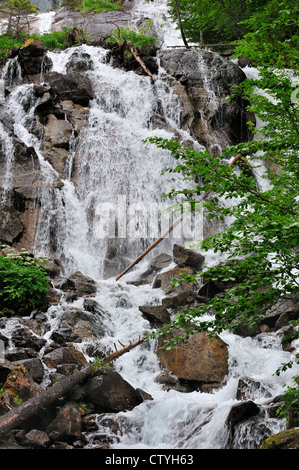 Waterfall at the Pont d'Espagne in the Hautes-Pyrénées near Cauterets, Pyrenees, France Stock Photo