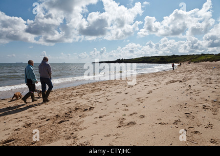 Couple walking dogs on Lligwy Beach, Near Moelfre, Anglesey, Wales Stock Photo