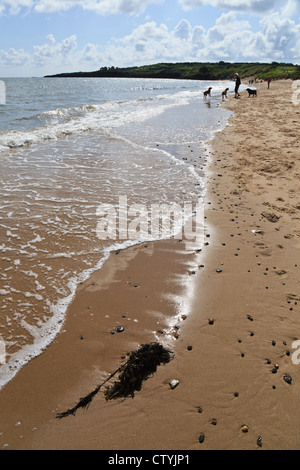 Lligwy Beach, Near Moelfre, Anglesey, Wales Stock Photo