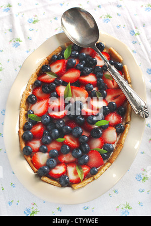 Berry Summer Tiramisu Stock Photo