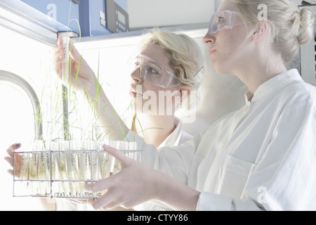 Scientists examining test tubes in lab Stock Photo