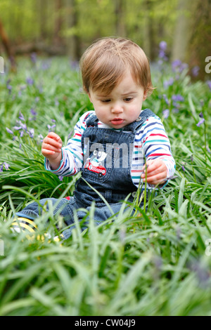 Boy playing with flowers in meadow Stock Photo