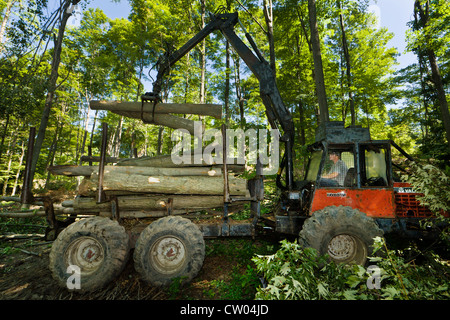 Man logging maples with a forwarder in the woods of New York State, USA Stock Photo