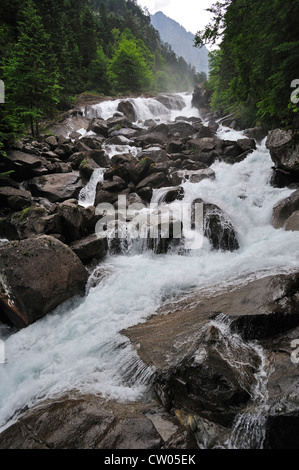 Waterfall near the Pont d'Espagne in the Hautes-Pyrénées near Cauterets, Pyrenees, France Stock Photo