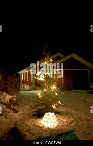 Christmas tree lit up in snow Stock Photo