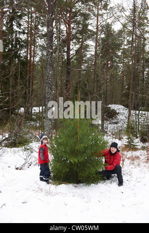 Father and son picking Christmas tree Stock Photo