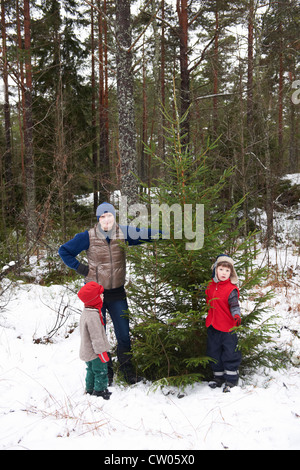 Family picking Christmas tree outdoors Stock Photo