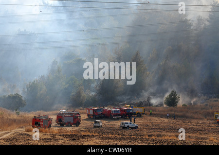 Forest fire on the Eastern slop of Mt. Carmel, Near Elroei, Israel ...