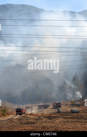 Forest fire on the Eastern slop of Mt. Carmel, Near Elroei, Israel ...