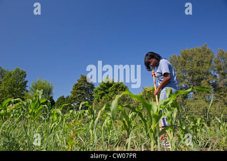 Detroit, Michigan - Volunteers from the Summer in the City program work at D-Town Farm, a large community garden. Stock Photo