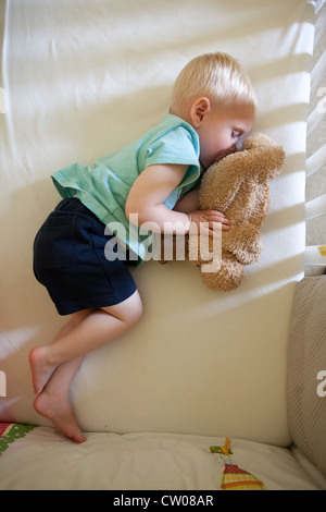 20 month old baby boy asleep whilst holding cuddly toy in cot Stock Photo