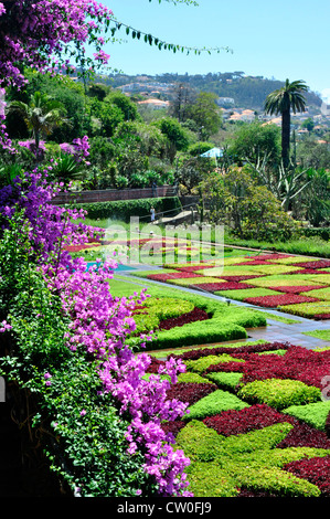 Portugal - Madeira - Botanical Gardens - view of the multi coloured carpet bedding of plants - in geometric designs Stock Photo