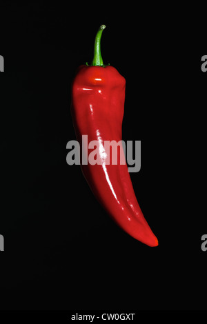 Close up of red chili pepper Stock Photo