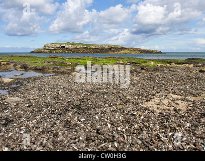 Moelfre Island, Moelfre, Anglesey, North Wales Stock Photo