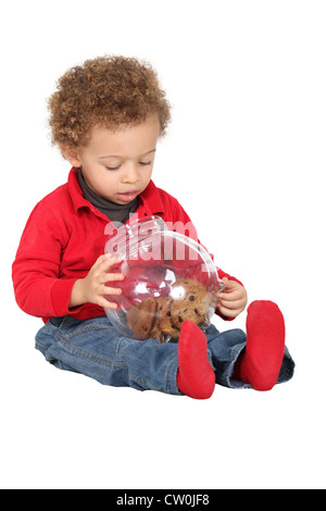 Little boy with recipient full of cookies Stock Photo