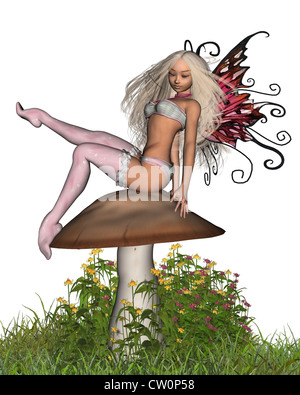 Fairy Toadstool - 1 Stock Photo