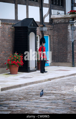 A Scots Guard in traditional uniform standing outside his sentry box guarding Queen's House at The Tower of London. UK Stock Photo