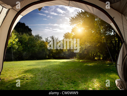 View from the tent at dawn in the woods Stock Photo