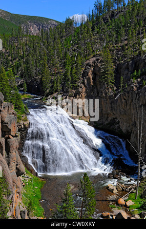 Gibbon Falls Yellowstone National Park Wyoming, WY Stock Photo