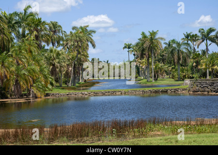 Fairchild Tropical Botanical Gardens at Coral Gables, a suburb of Miami,  Florida. Stock Photo