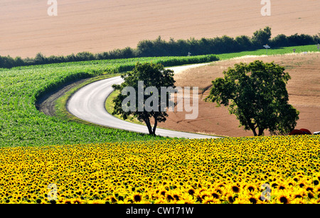 countryside Puy de Dome  Auvergne France Stock Photo