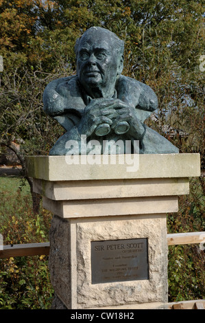 Bust of Sir Peter Scott at Wildfowl and Wetland Trust, Slimbridge, UK Stock Photo