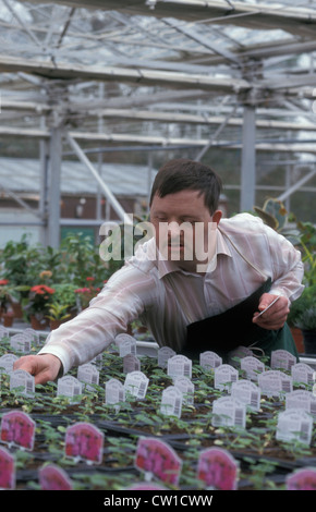 man with downs syndrome working in garden centre Stock Photo