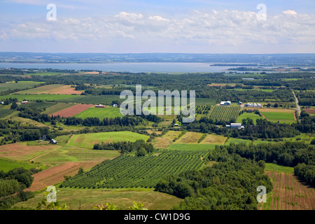 Aerial view of farmland with orchards along the coast of Nova Scotia, Canada.