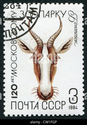 Stamps printed in the USSR, devoted to 120 anniversary of the Moscow Zoo, shows an antelope Damaliscus pygargus Stock Photo