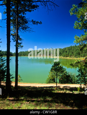 Pacheta Lake, White Mountains of Eastern Arizona. Great fishing lake.The 68 acres of Pacheta Lake are located at 8,200 feet. Stock Photo