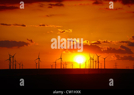 Wind turbines farm at sunset in Dobrogea region of Romania. Stock Photo