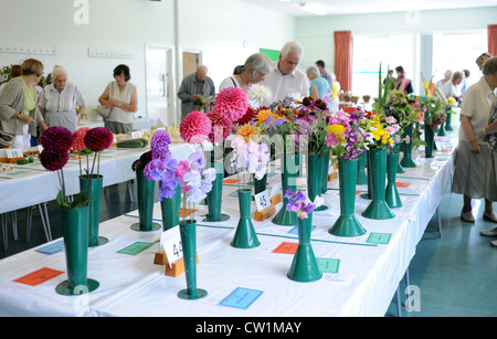 Colourful displays at the Patcham Horticultural Society Annual Flower Show today Stock Photo