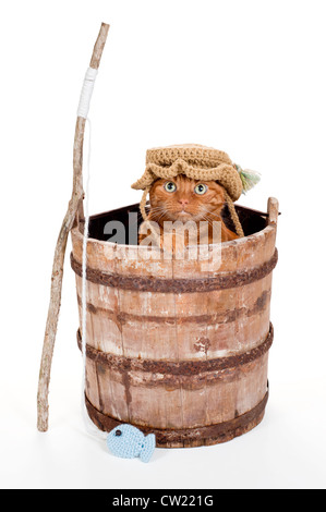 An Orange Tabby Cat Dressed as a Fisherman and Sitting in an Old, Weathered Wooden Bucket with a Stick Fishing Pole. Stock Photo