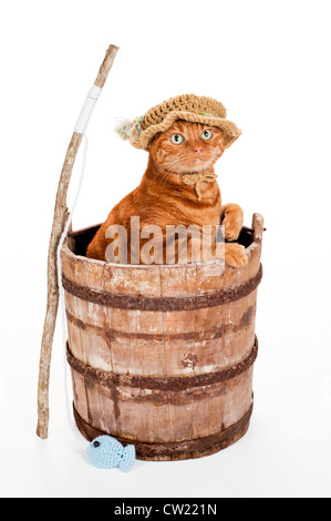 An Orange Tabby Cat Dressed as a Fisherman and Standing in an Old, Weathered Wooden Bucket with a Stick Fishing Pole. Stock Photo