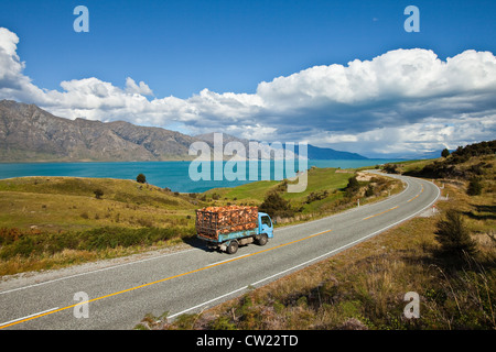 Landscape in Newzealand Stock Photo