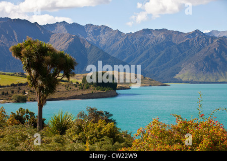 Landscape in Newzealand Stock Photo