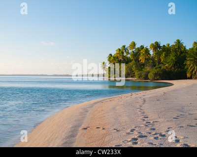 dream beach in the tuamotus, french polynesia Stock Photo