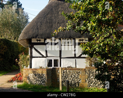 The Cat House, Henfield, West Sussex, England, the thatched cottage has images depicting a Cat and a Canary. Stock Photo