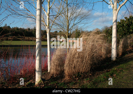 Marks Hall Estate Arboretum, Lake and walled garden.Coggeshall Essex England. Stock Photo