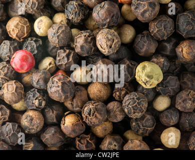 Mixed red, white and black pepper corn seeds in macro photo Stock Photo