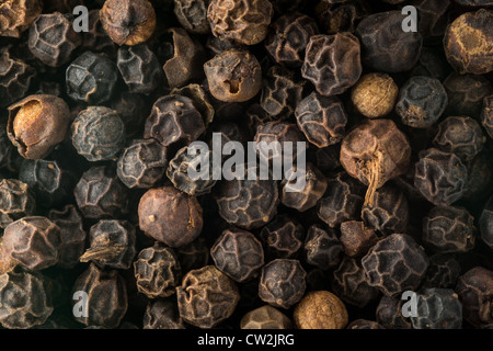 Black pepper corn seeds in macro photo Stock Photo