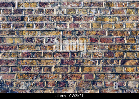 Decorative brickwork: English bond. This pattern comprising alternating courses of headers and stretchers. Stock Photo