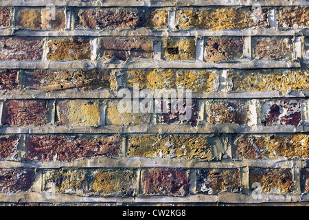 Decorative brickwork: English bond. This pattern comprising alternating courses of headers and stretchers. Stock Photo