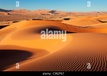 Intricate dune pattern lit up by morning sun. Sossusvlei in the Namib desert. Namib-Naukluft N.P, Namibia Stock Photo