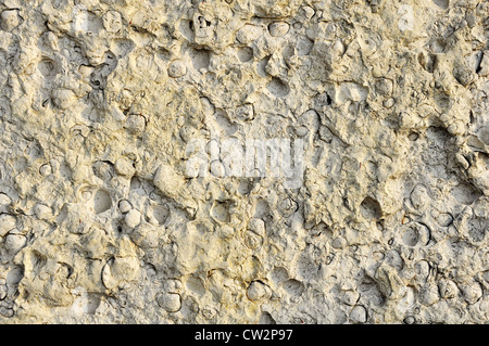 close up photo of old stone texture Stock Photo