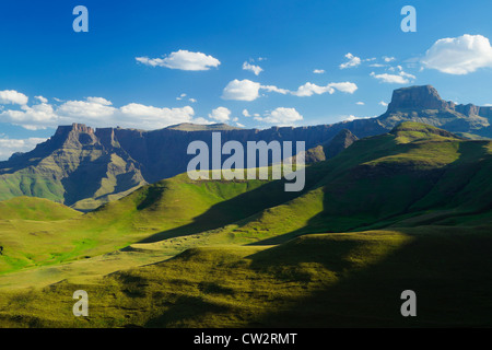 Drakensberg Amphitheatre situated within the  Royal Natal National Park.South Africa Stock Photo